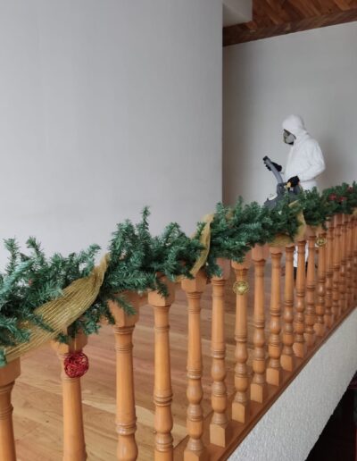 Sanitizacion Profesional suvca