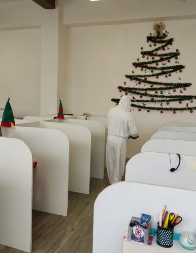 Sanitizacion Profesional suvca