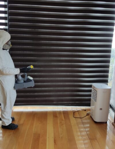 Sanitizacion Profesional suvca