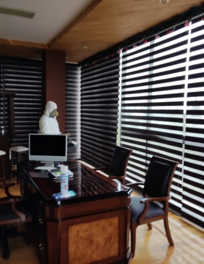 Sanitizacion Profesional suvca