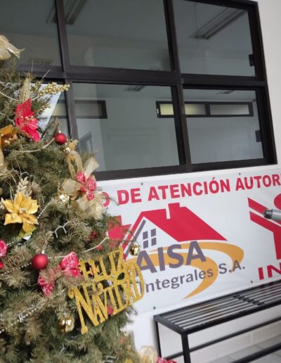 Sanitizacion Profesional suvca