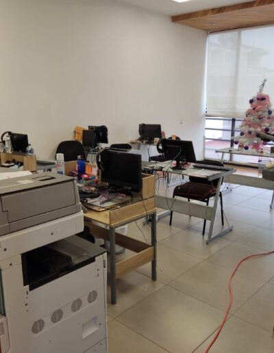 Sanitizacion Profesional suvca