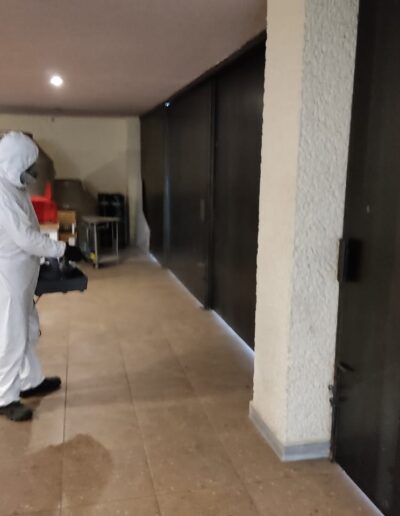 Sanitizacion Profesional suvca