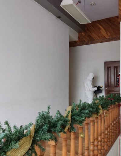 Sanitizacion Profesional suvca