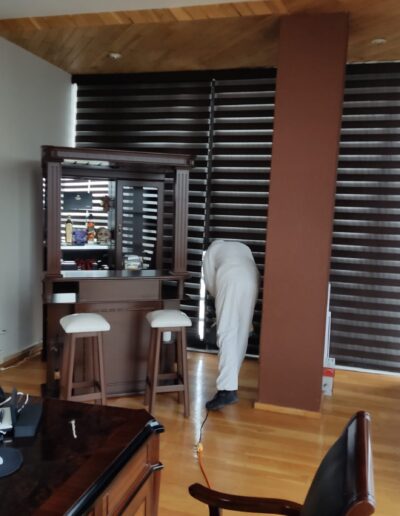 Sanitizacion Profesional suvca