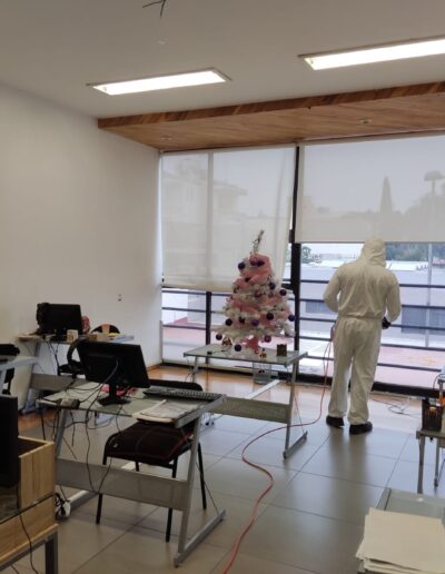 Sanitizacion Profesional suvca