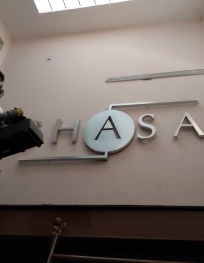 Sanitizacion Profesional suvca