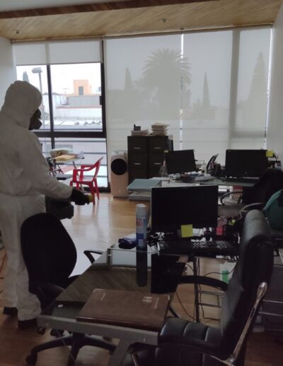 Sanitizacion Profesional suvca