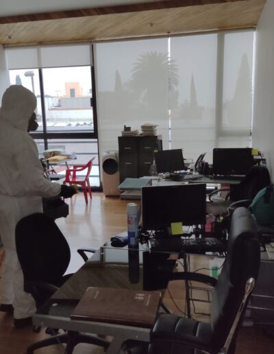 Sanitizacion Profesional suvca